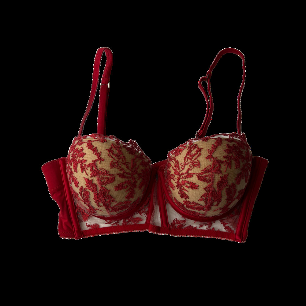 1-49 LA PERLA Women's NWT Hand Made Corset Bra Floral Lace Red Size 36B